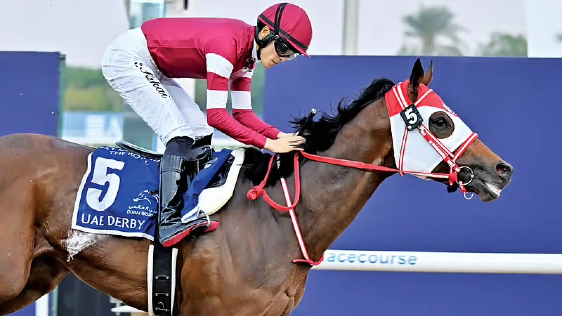 Dubai World Cup 2026: Wenn Millionen galoppieren | Die Geissens Real Estate | Luxus Immobilien mit Carmen und Robert Geiss – Die Geissens in Dubai